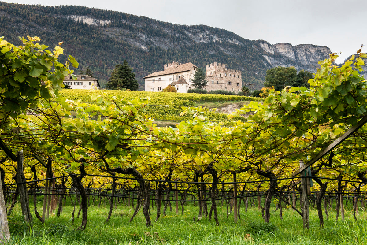 Strada del Vino – Wine Routes of Appiano in South Tyrol