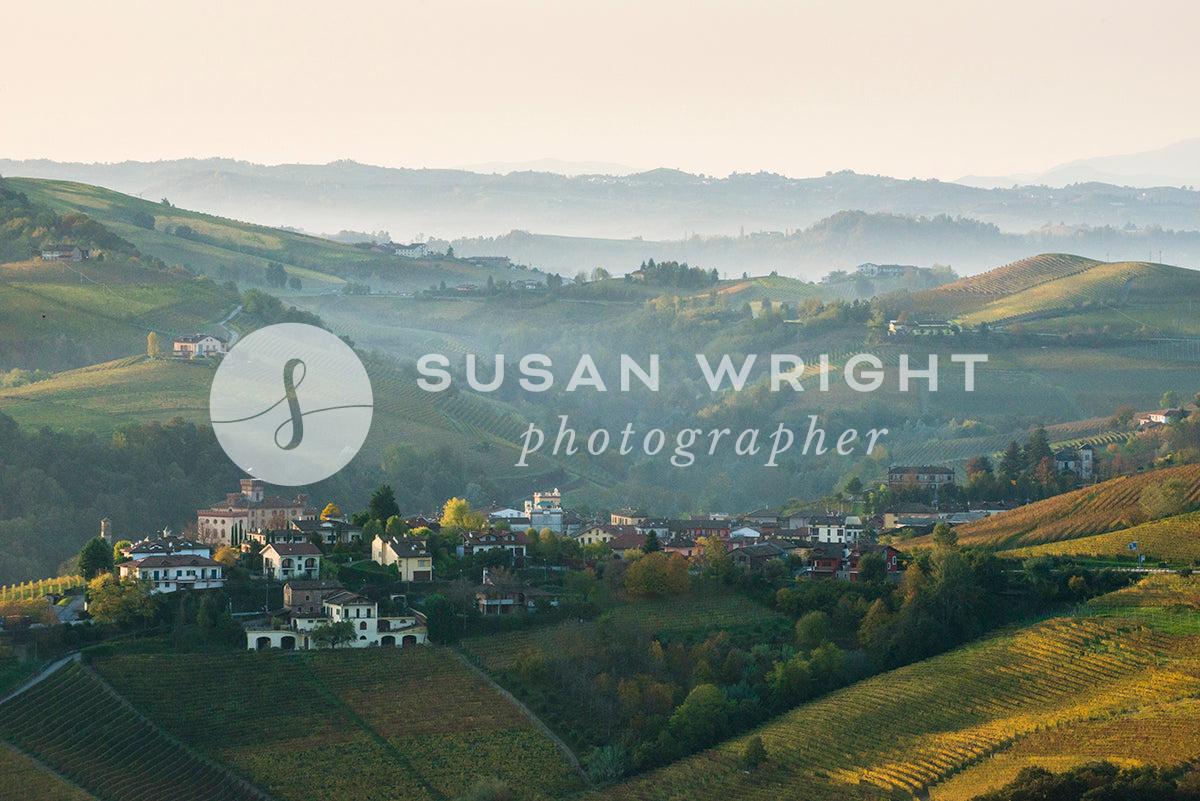 SWP_Barolo-2973 -  by Susan Wright Images - PCC: Italy Destinations, PCC: Landscapes, PCC: Seasonal, PCC: Wine, Premium Curated Collections, with-pdf