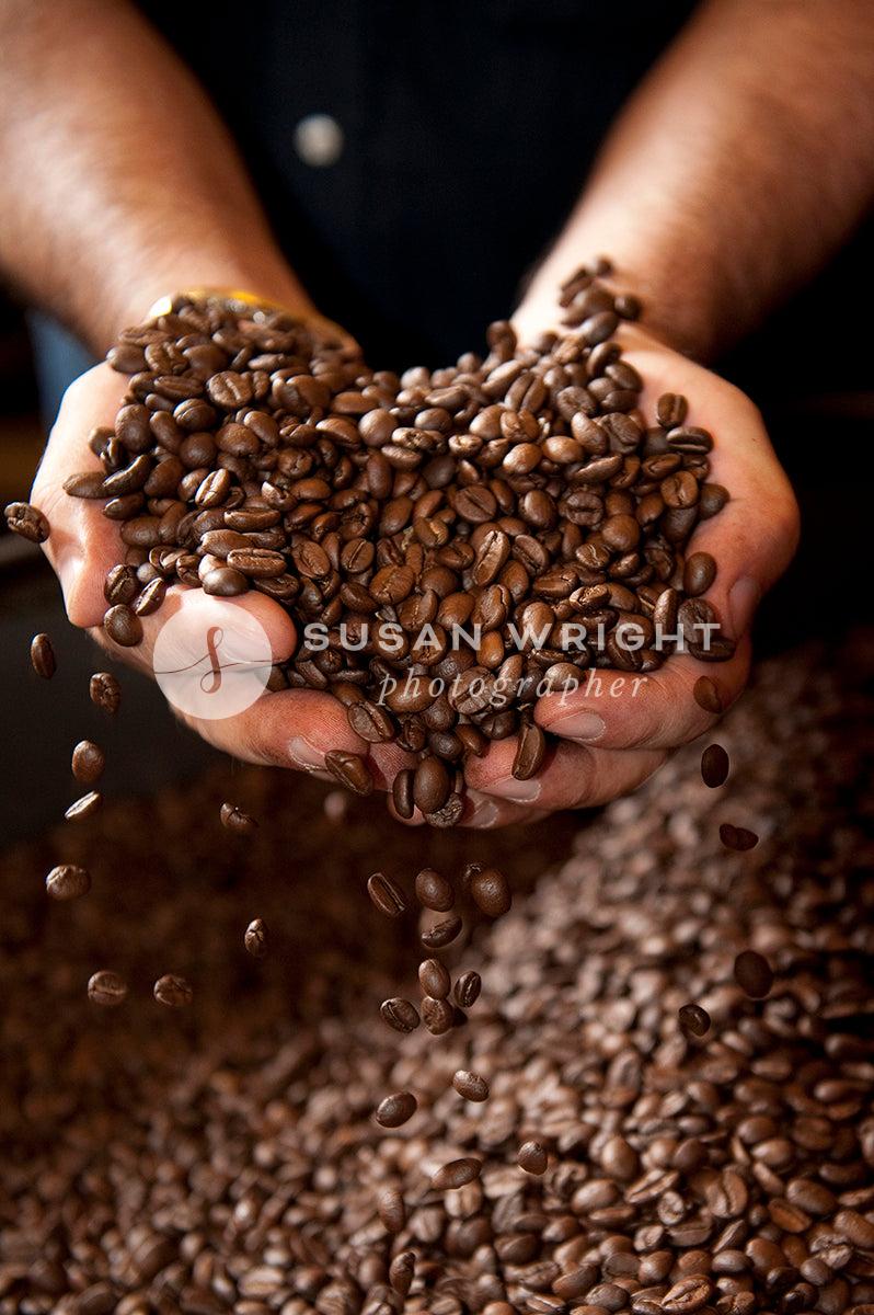SWP_Coffee_Beans-1185 -  by Susan Wright Images - PCC: Artisans, PCC: Italy Cuisine, Premium Curated Collections, with-pdf
