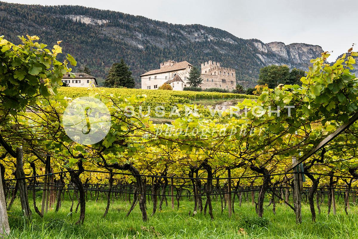 SWP_SouthTyrol-1768 -  by Susan Wright Images - PCC: Hidden Gems, PCC: Landscapes, PCC: Seasonal, PCC: Wine, Premium Curated Collections, with-pdf