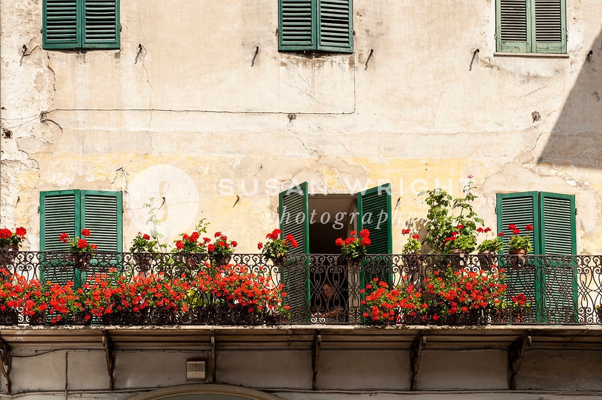 SWP_Spoleto-5383 -  by Susan Wright Images - PCC: Classic Italian, PCC: Italy Destinations, PCC: Seasonal, Premium Curated Collections, with-pdf