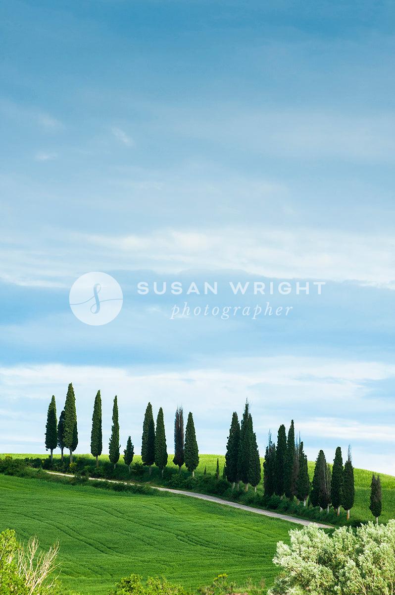 SWP_Tuscany-0454 -  by Susan Wright Images - PCC: Classic Italian, PCC: Italy Destinations, Premium Curated Collections, with-pdf