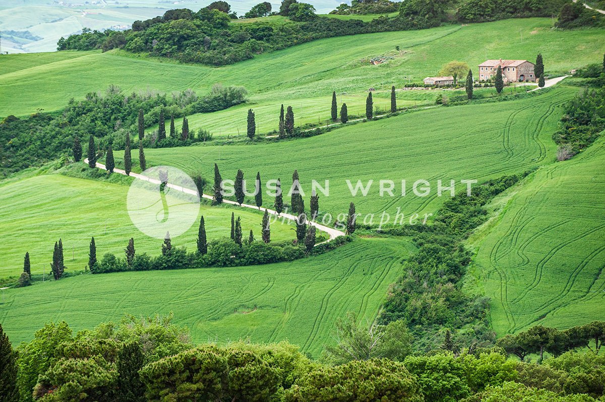 SWP_Tuscany-0492 -  by Susan Wright Images - PCC: Classic Italian, PCC: Italy Destinations, Premium Curated Collections