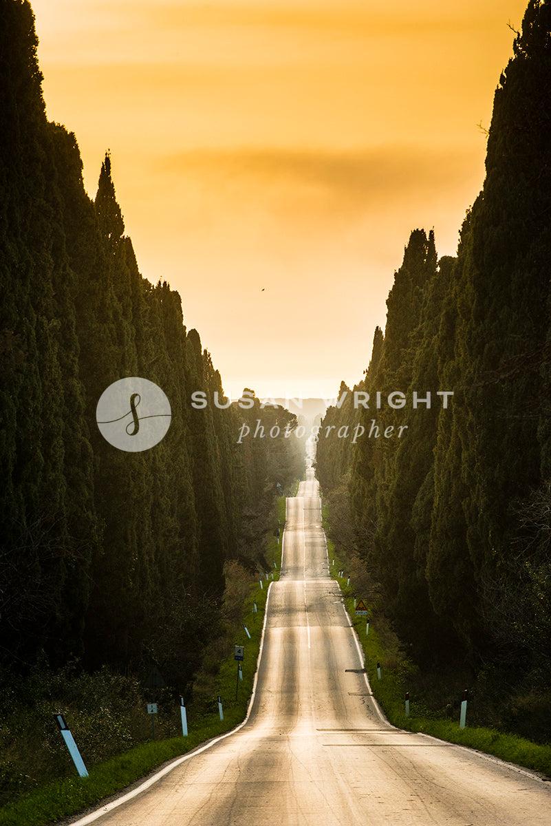 SWP_Tuscany-7950 -  by Susan Wright Images - PCC: Classic Italian, PCC: Grand Tour, PCC: Italy Destinations, PCC: Landscapes, Premium Curated Collections